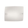 Потолочный светильник Foscarini Folio Grande