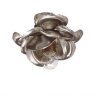Потолочный светильник Lucienne Monique W 17 silver Потолочный светильник Lucienne Monique W 17 silver