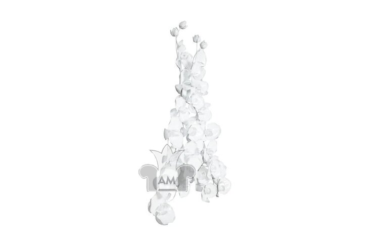 Настенный декор Phillips Collection Orchid Dress Wall Art White