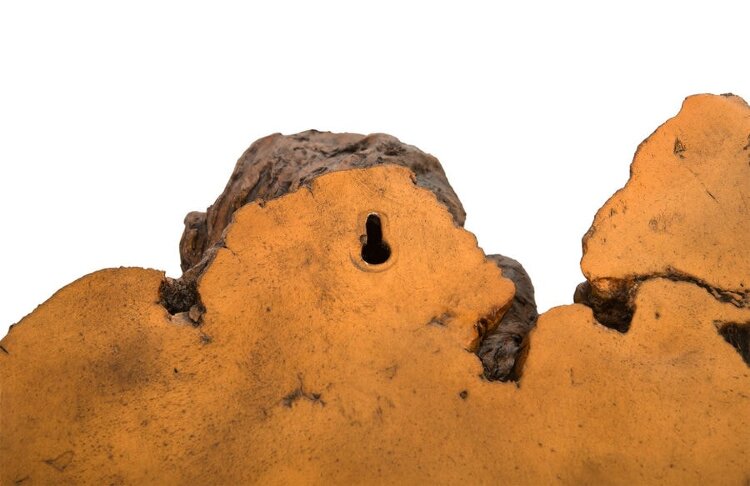 Настенный декор Phillips Collection Burled Root Wall Art Medium Brown