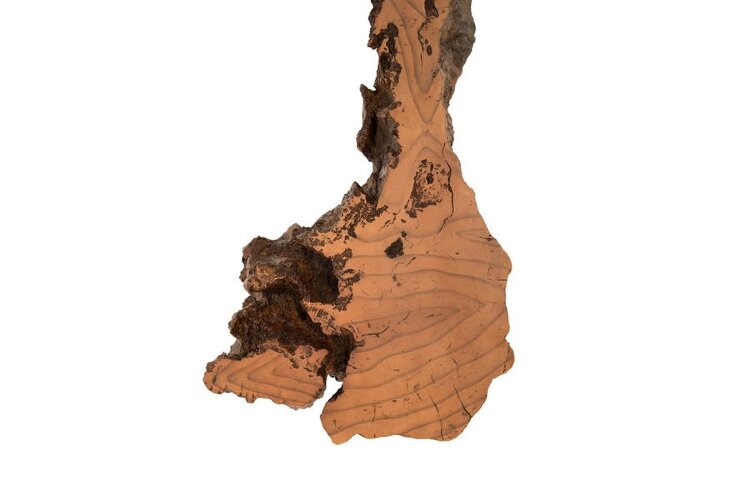 Настенный декор Phillips Collection Burled Root Wall Art Medium Brown
