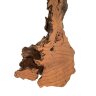 Настенный декор Phillips Collection Burled Root Wall Art Medium Brown Настенный декор Phillips Collection Burled Root Wall Art Medium Brown