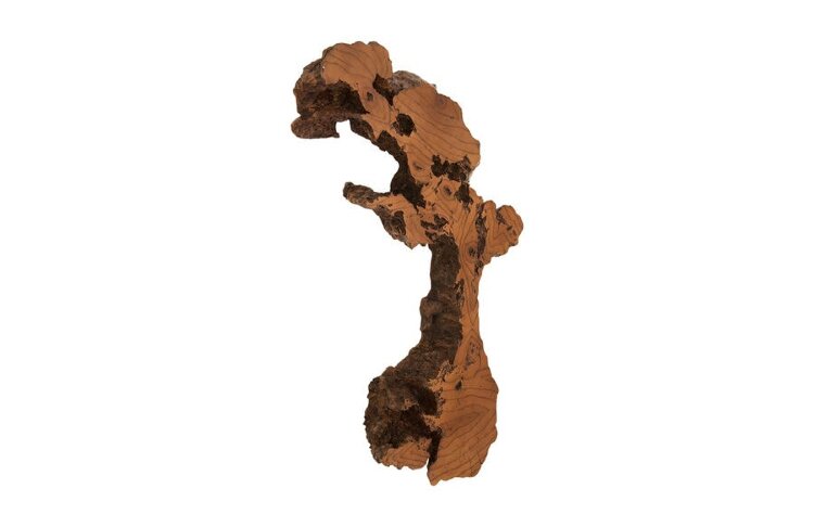 Настенный декор Phillips Collection Burled Root Wall Art Medium Brown