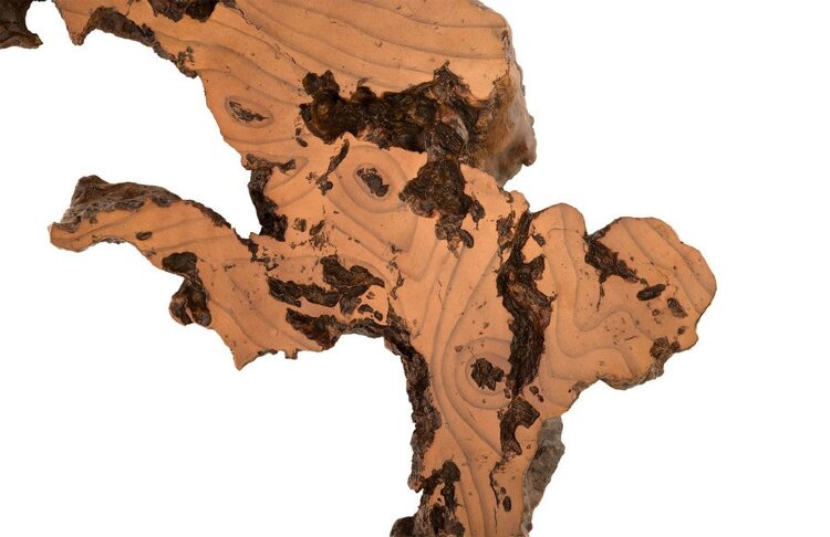 Настенный декор Phillips Collection Burled Root Wall Art Medium Brown