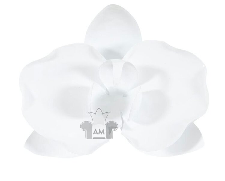 Настенный декор Phillips Collection Orchid Flower Wall Decor White