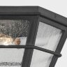 Потолочная люстра Troy Lighting Lake County