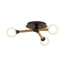 Потолочная люстра Troy Lighting Nomad