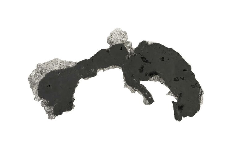 Настенный декор Phillips Collection Burled Root Wall Art Medium Silver