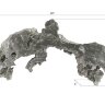 Настенный декор Phillips Collection Burled Root Wall Art Medium Silver