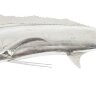 Настенный декор Phillips Collection Blue Marlin Wall Sculpture Silver
