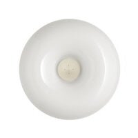 Настенный/Потолочный светильник Foscarini Circus Piccola