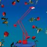 Настольная лампа Artemide Tizio Red