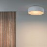 Настенный/Потолочный светильник Flos Smithfield Red