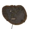 Декоративный стол Phillips Collection Agate Side Table