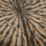 Настенный декор Phillips Collection Metal Lotus Wall Art Настенный декор Phillips Collection Metal Lotus Wall Art
