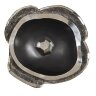 Настенный декор Phillips Collection Pen Shell Wall Art