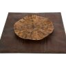 Настенный декор Phillips Collection Medallion Wall Art Amber