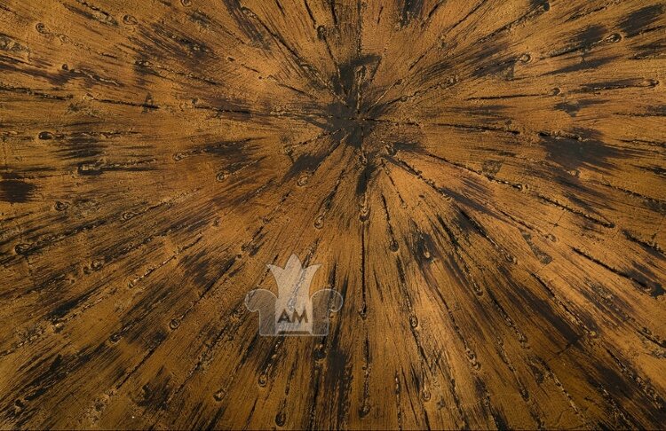 Настенный декор Phillips Collection Medallion Wall Art Amber