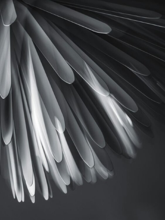 Подвесной светильник Foscarini Sun-Light of Love LED