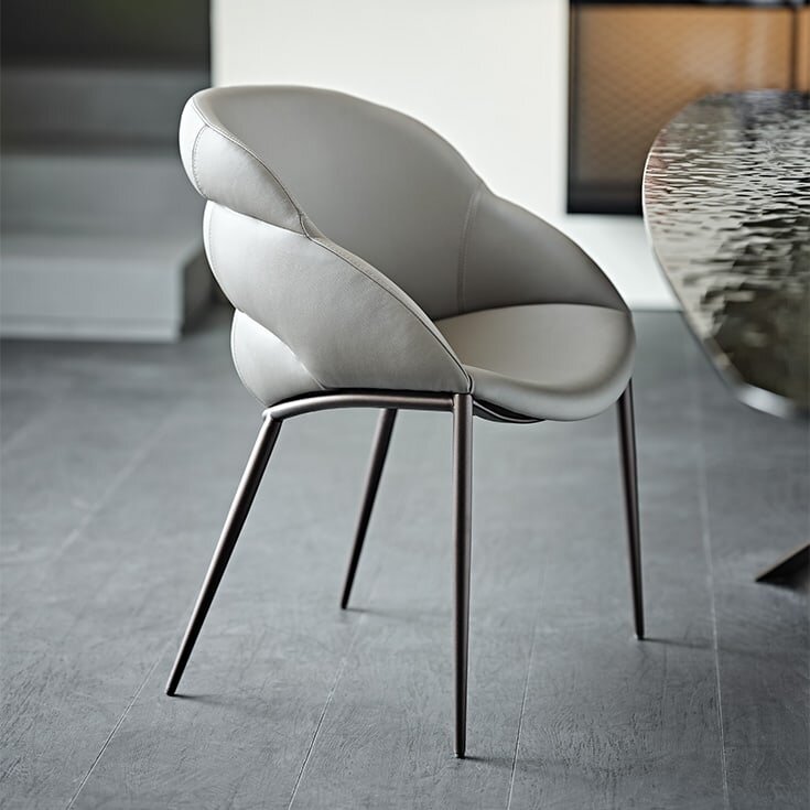 Стул Cattelan Italia Camilla ML Smoke