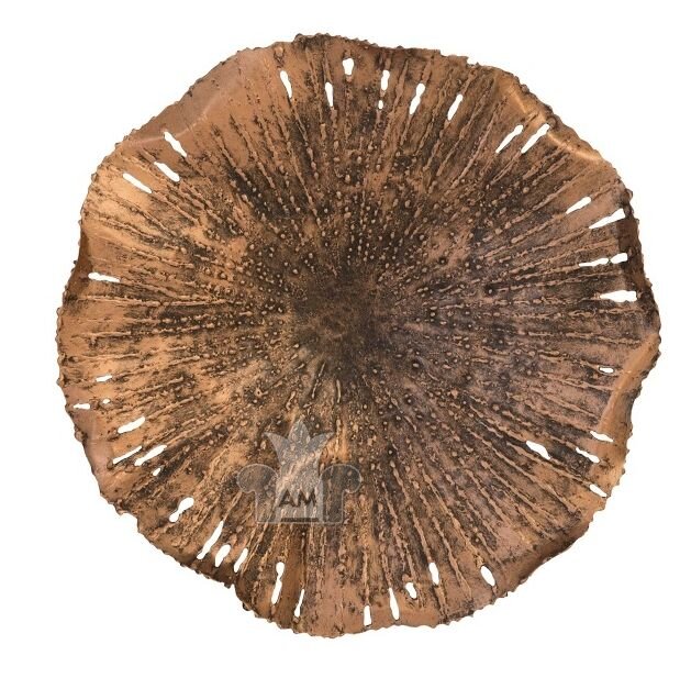 Настенный декор Phillips Collection Lotus Wall Art Copper