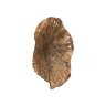 Настенный декор Phillips Collection Lotus Wall Art Copper