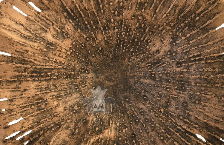 Настенный декор Phillips Collection Lotus Wall Art Copper