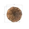 Настенный декор Phillips Collection Lotus Wall Art Copper