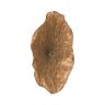Настенный декор Phillips Collection Lotus Wall Art Copper