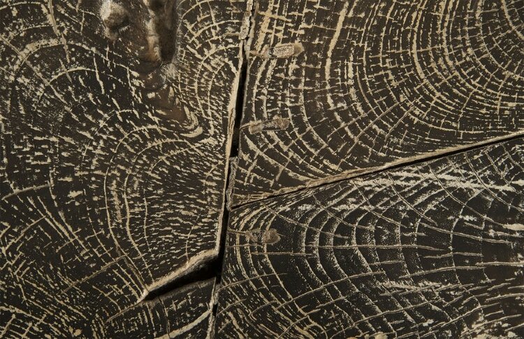 Коктейльный стол Phillips Collection Driftwood Top Coffee Table
