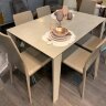 Обеденный стол Ingenia Casa Winny 190/290х100, раскладной [M312/CR001/L084]