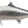 Настенный декор Phillips Collection Yellow Tailed King Fish Wall Sculpture Silver