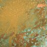 Настенный декор Phillips Collection Button Wall Tile Shallow Lichen
