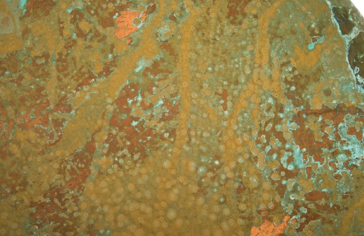 Настенный декор Phillips Collection Button Wall Tile Shallow Lichen