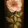 Ширма  ALCHYMIA Peonia (Pink)