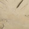 Настенный декор Phillips Collection Freeform Wall Art Roman Stone Настенный декор Phillips Collection Freeform Wall Art Roman Stone