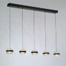 Подвесной светильник Delight Collection MD22030002-5B black/clear