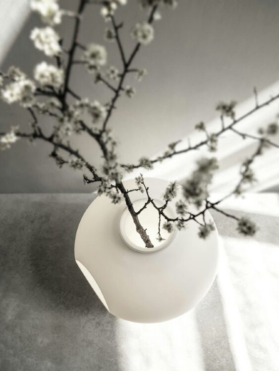 Настольная лампа Foscarini Madre White